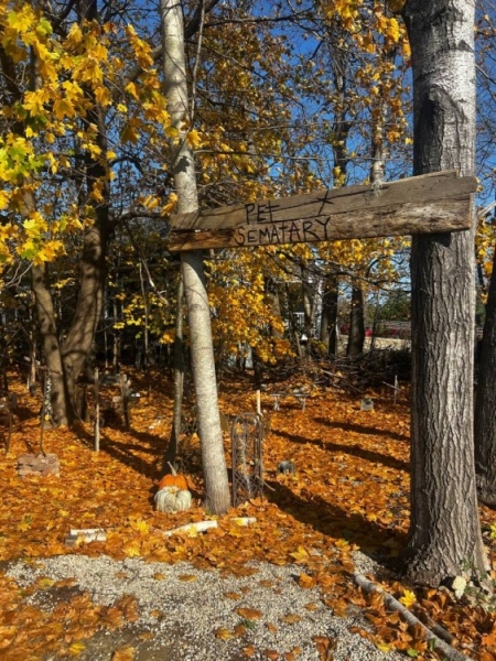 Maine in October
