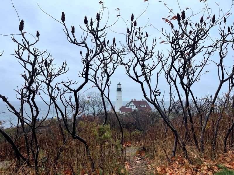 Maine in October