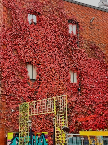 Maine in October