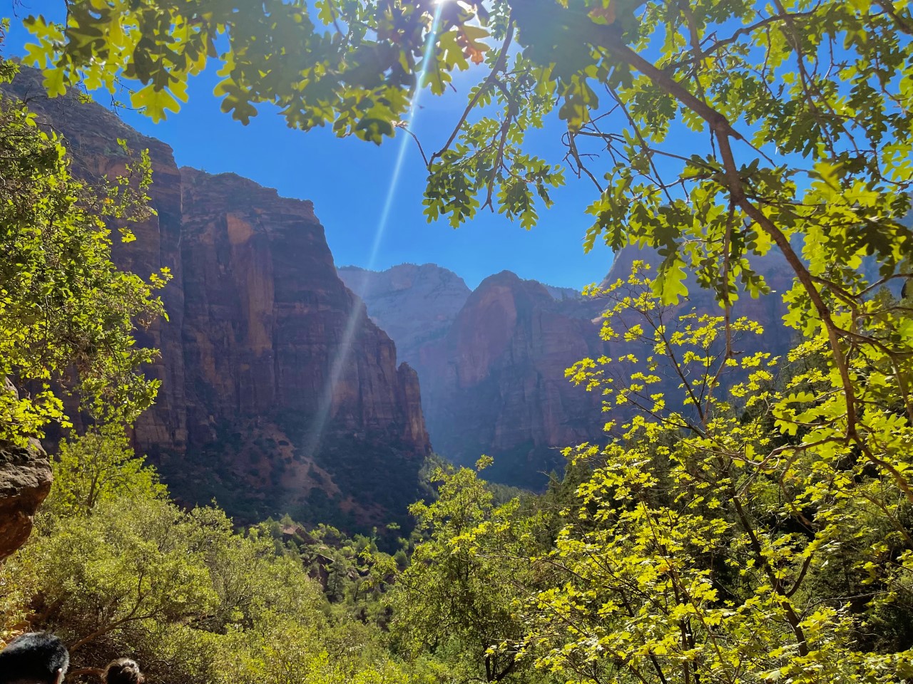 Road Trip To St. George